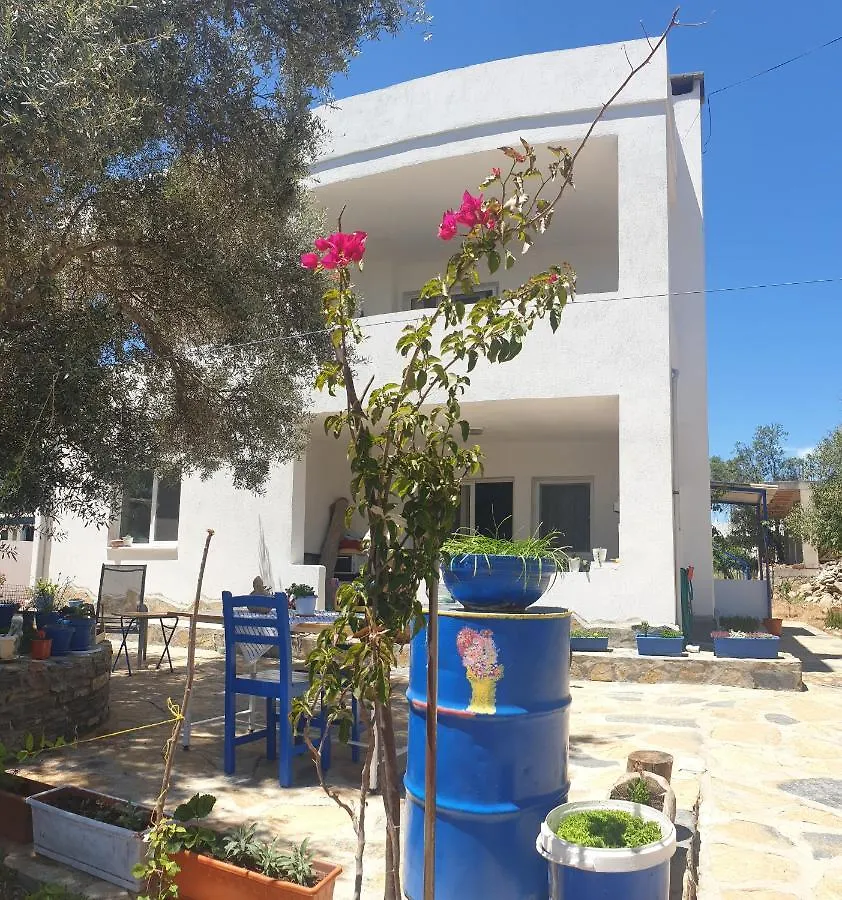 Begonvilli Ev Apartment Bodrum Turkey