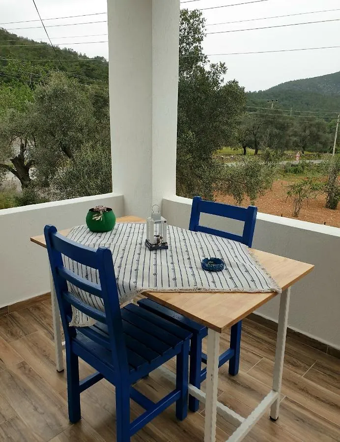 Begonvilli Ev Apartment Bodrum